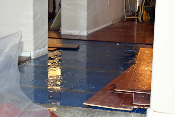 Professional Water Removal technician working in Camden, MI